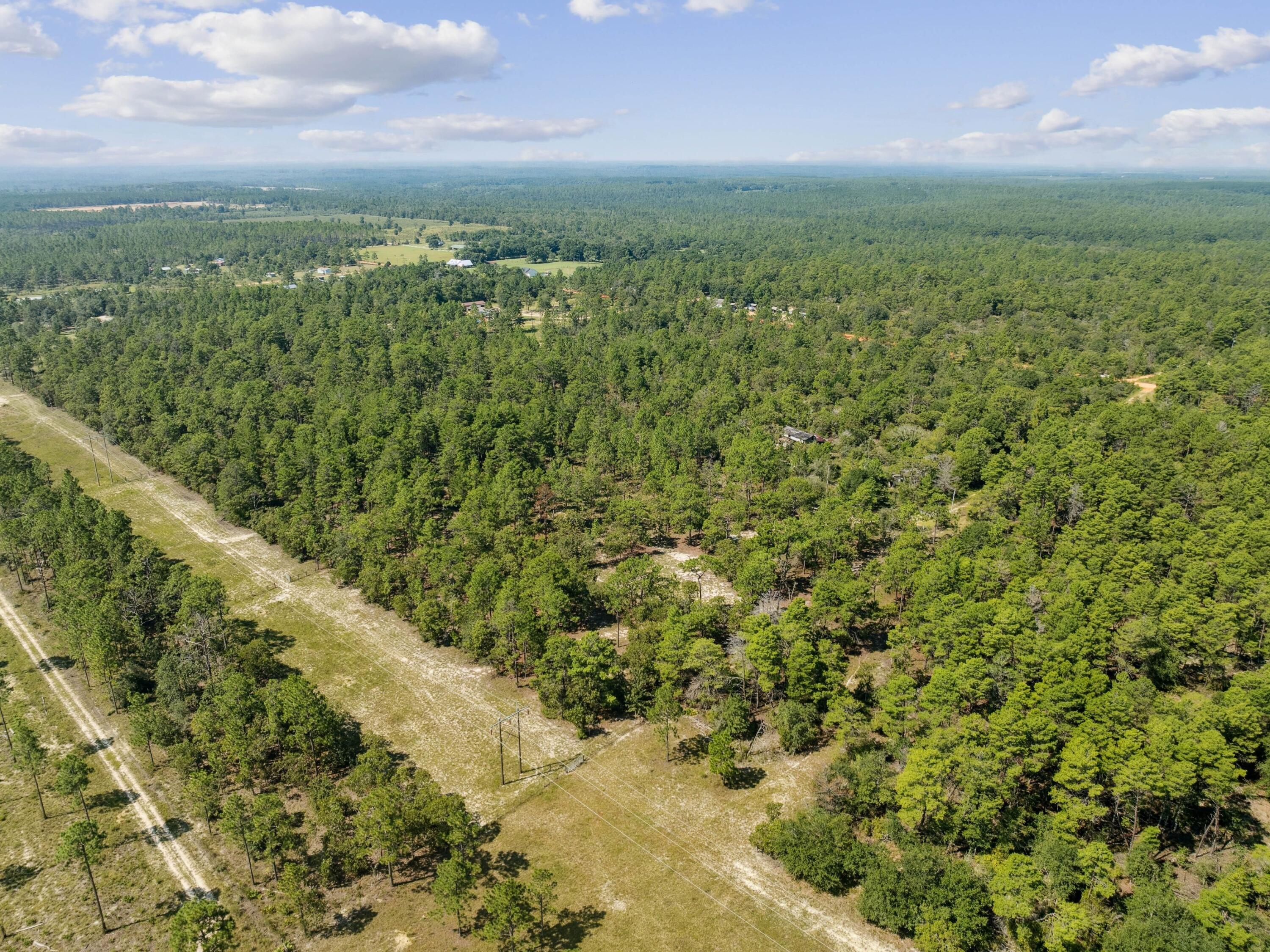 Turkey Creek Woodlands - Land