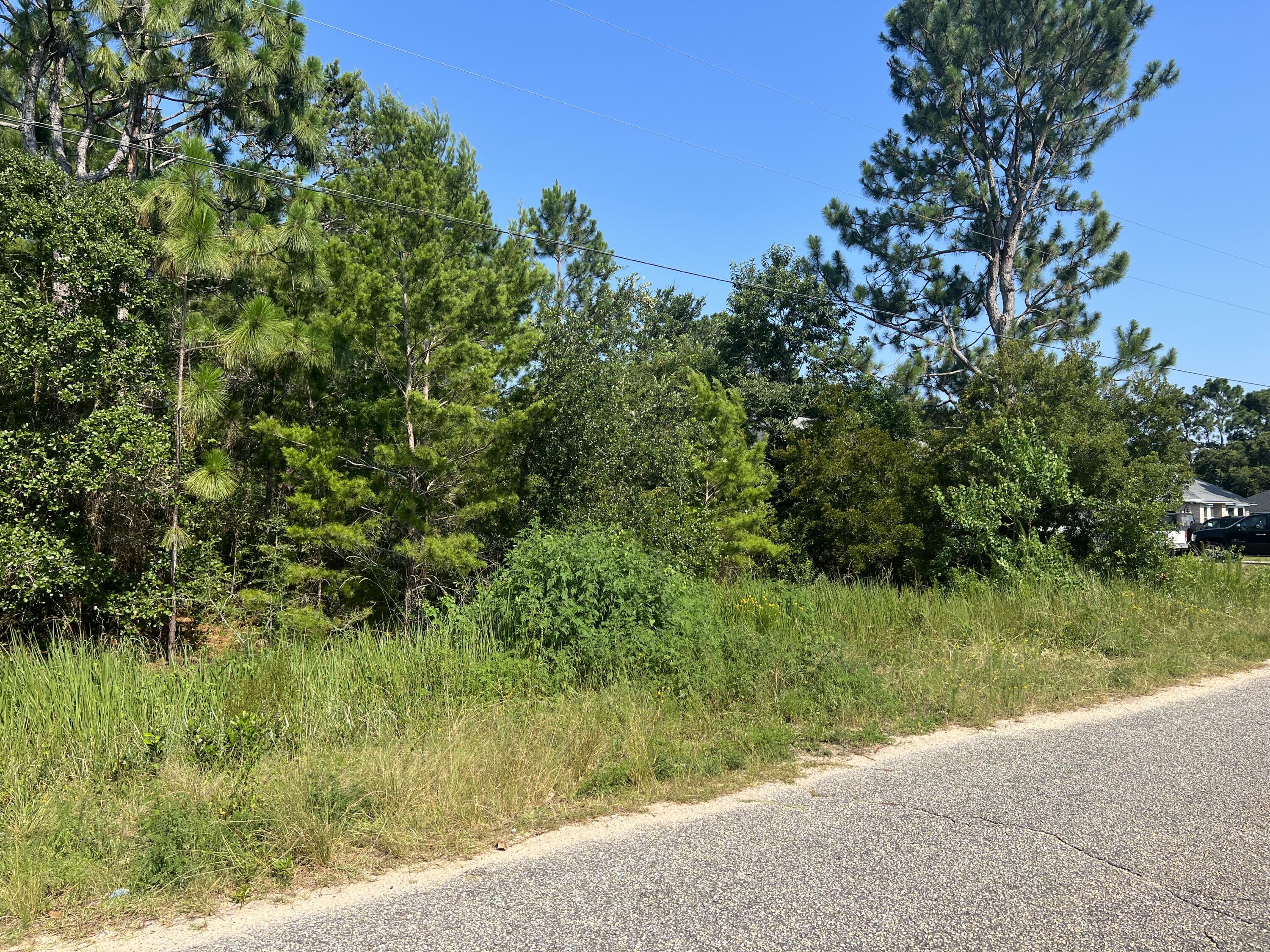 HOLLEY BY THE SEA - Land