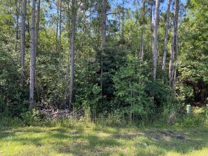 HOLLEY BY THE SEA - Land