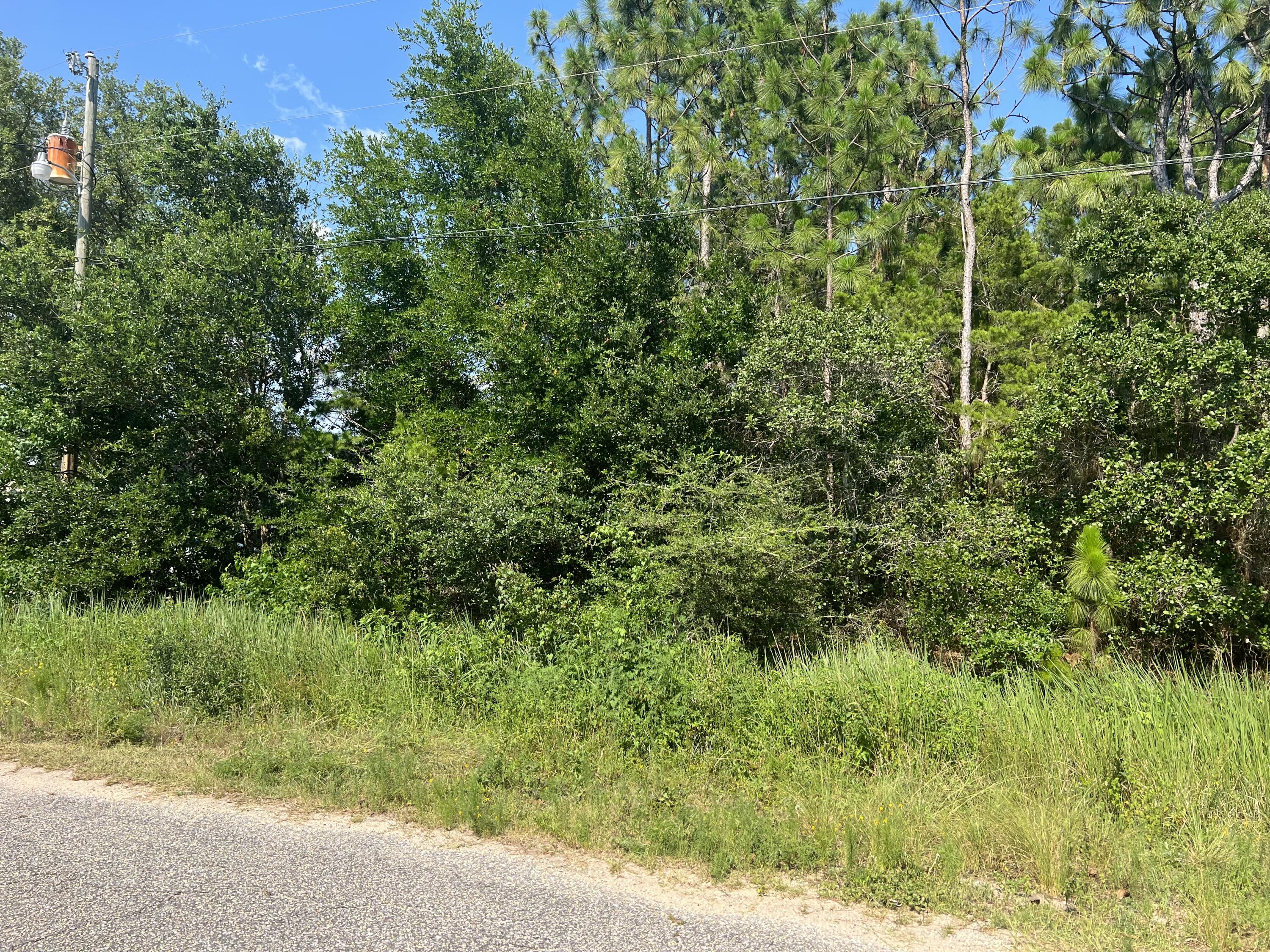 HOLLEY BY THE SEA - Land