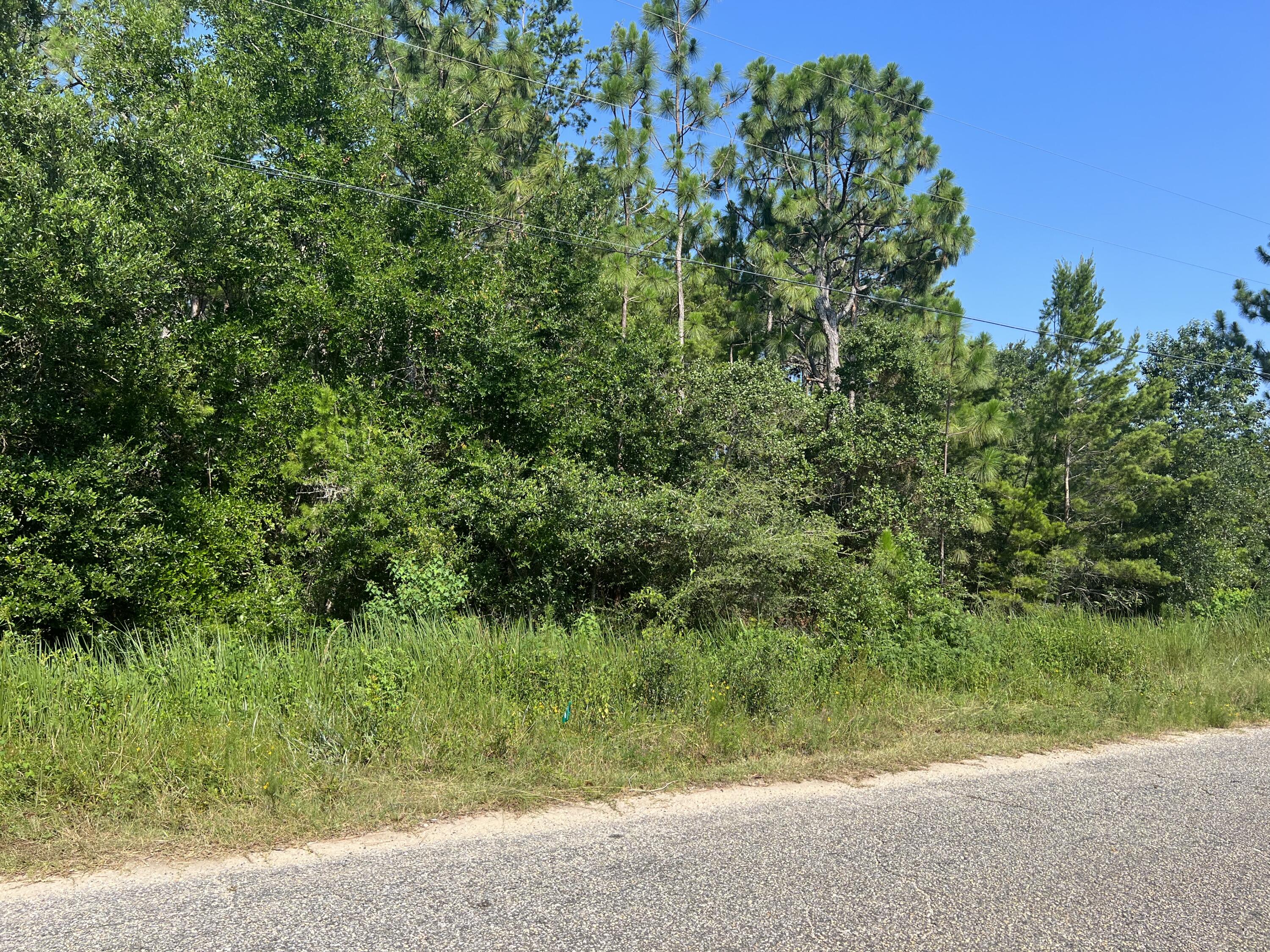 HOLLEY BY THE SEA - Land