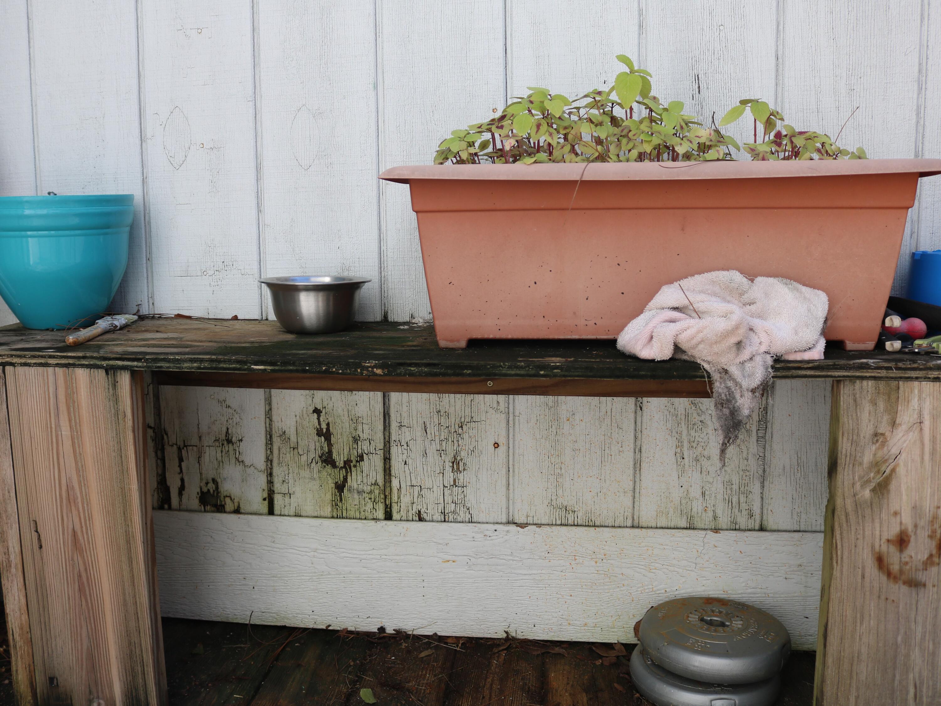 CHINAS COVE - Residential