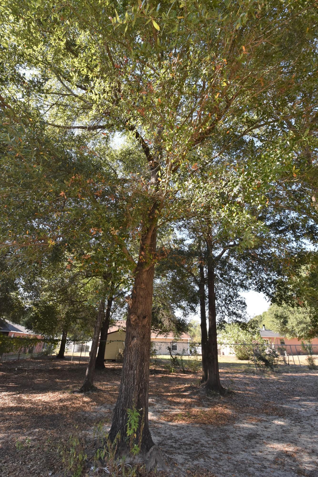 WINDING CREEK ESTATES PH 2A - Residential