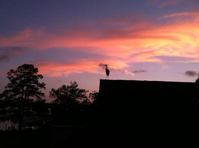 The Parish - Residential