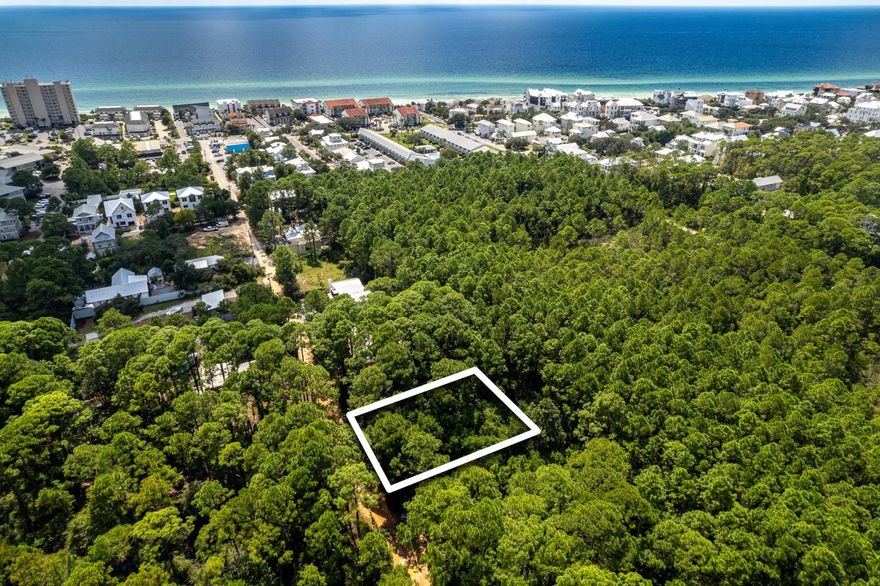 Discover a rare opportunity to own a stunning lot in the heart of Seagrove Beach on Campbell Street, just off Highway 30A. This wooded 100 x 75 ft lot offers the perfect canvas to build your dream custom home in a pristine location without the restrictions of an HOA. With a survey available and close proximity to a multitude of beach accesses (including one just south of Campbell), this property combines privacy and convenience, making it ideal for those seeking a serene coastal lifestyle. Don't miss the chance to create your perfect retreat in Seagrove Beach.