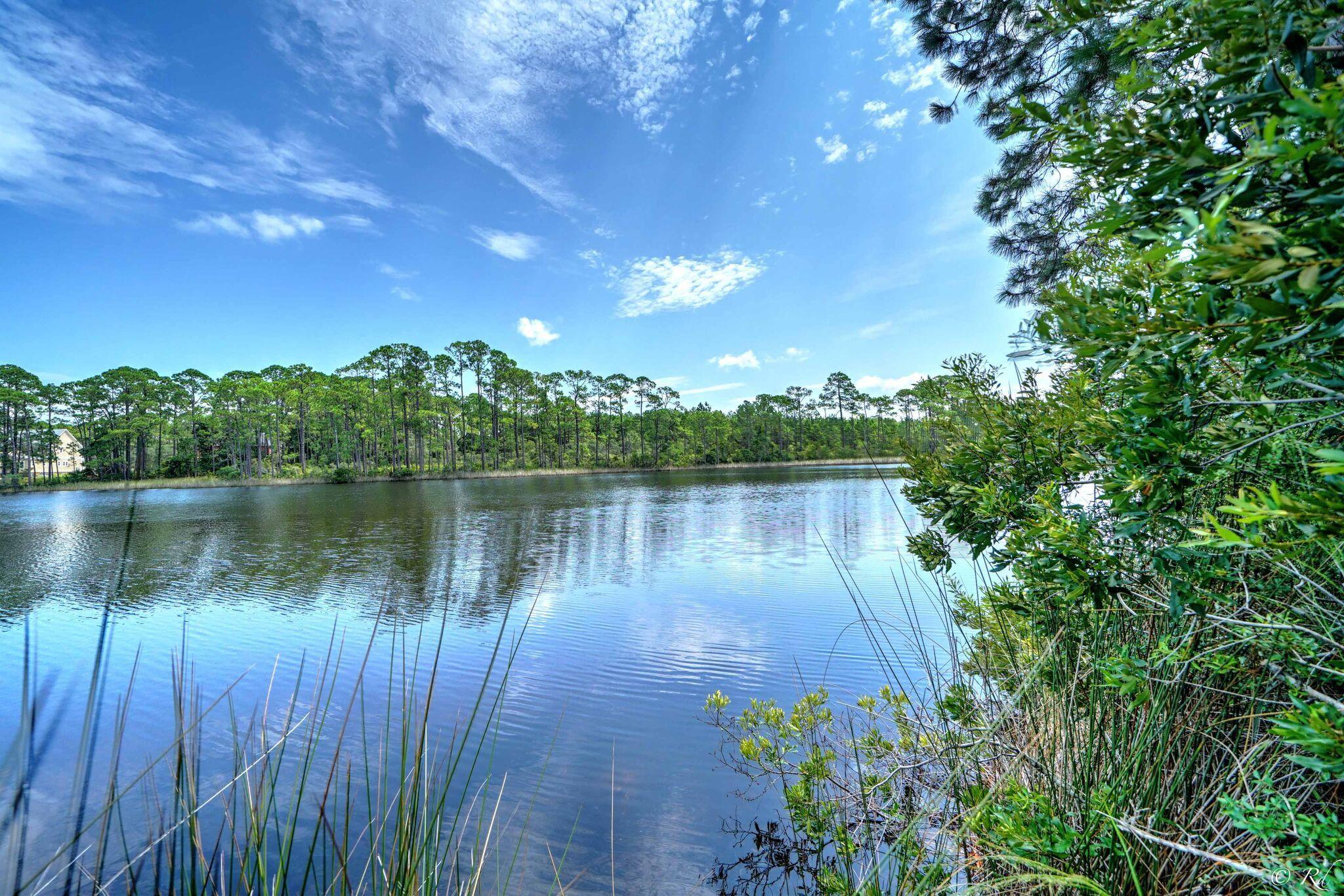 TURTLE COVE - Residential