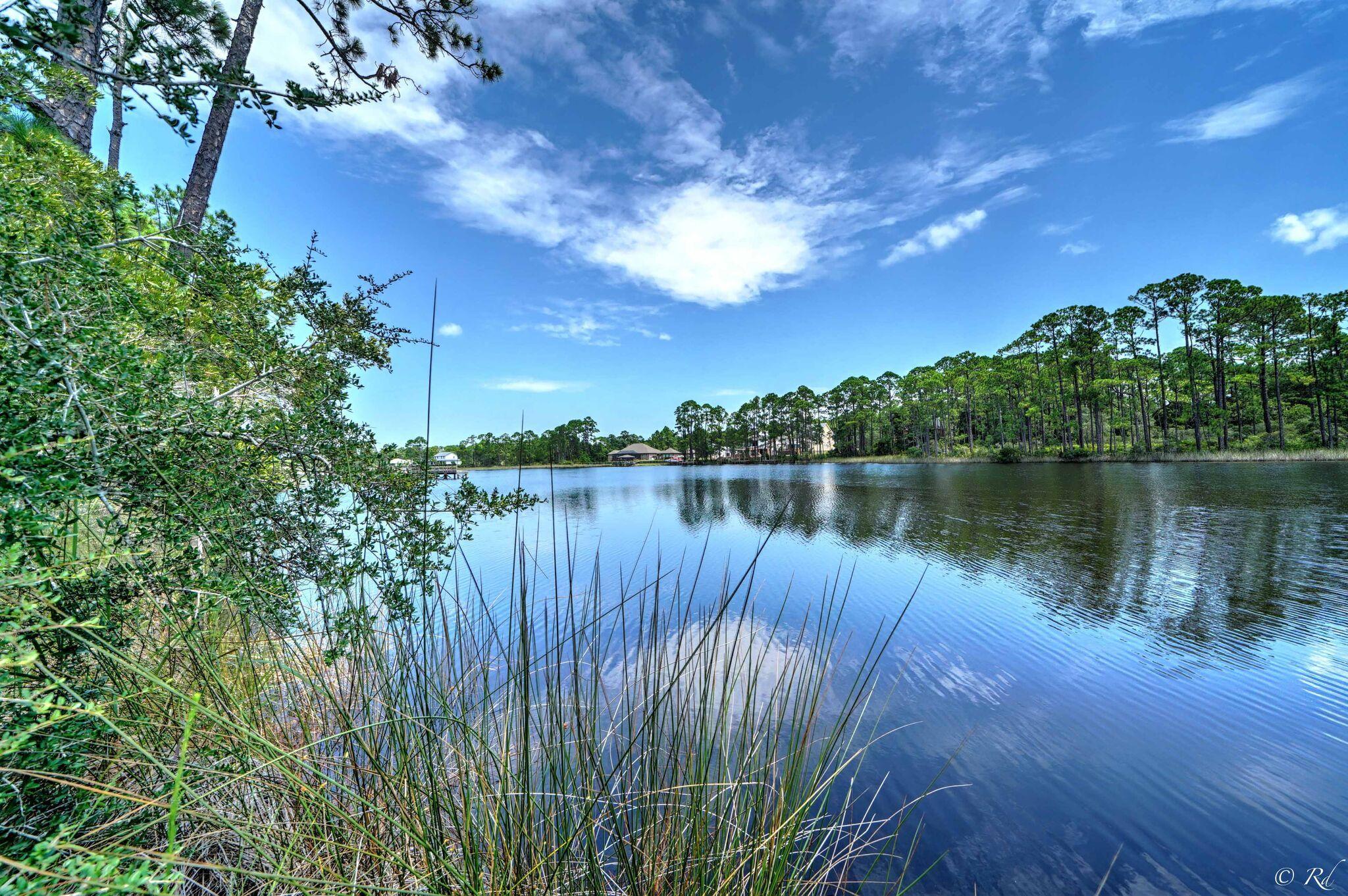 TURTLE COVE - Residential