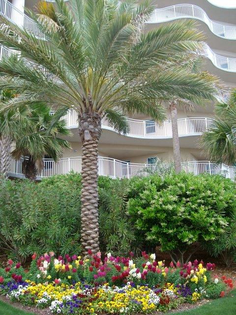 WATERSCAPE - Residential