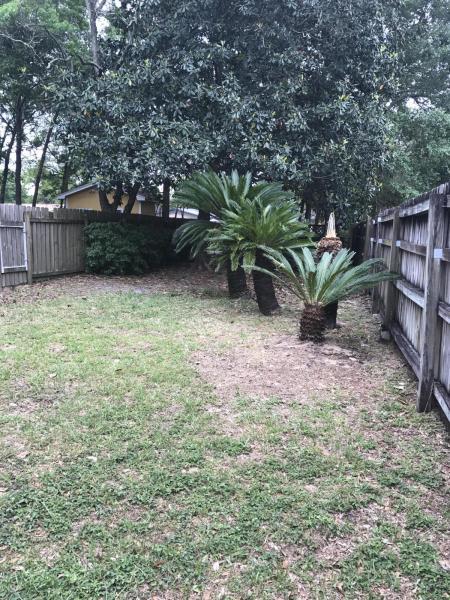 PARKVIEW 4 - Residential Lease