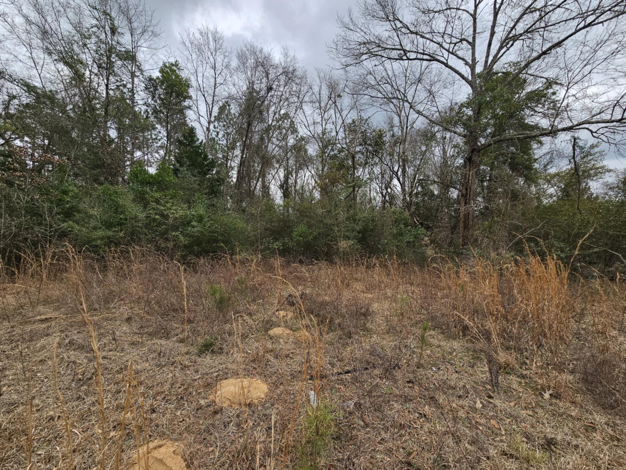 METES & BOUNDS - Land