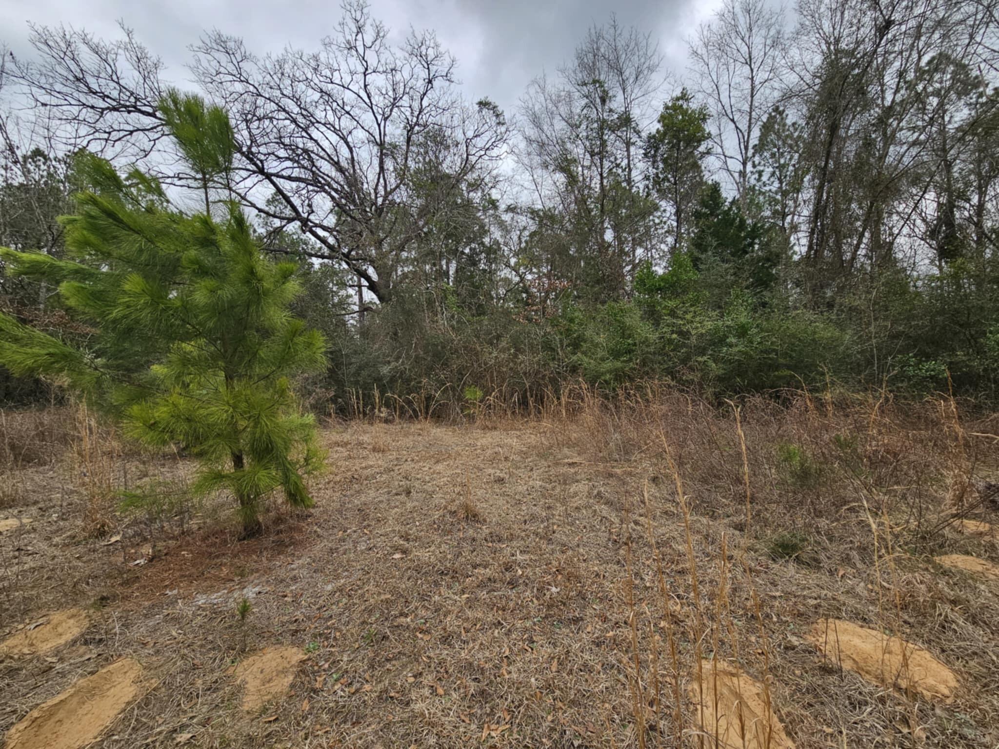 METES & BOUNDS - Land