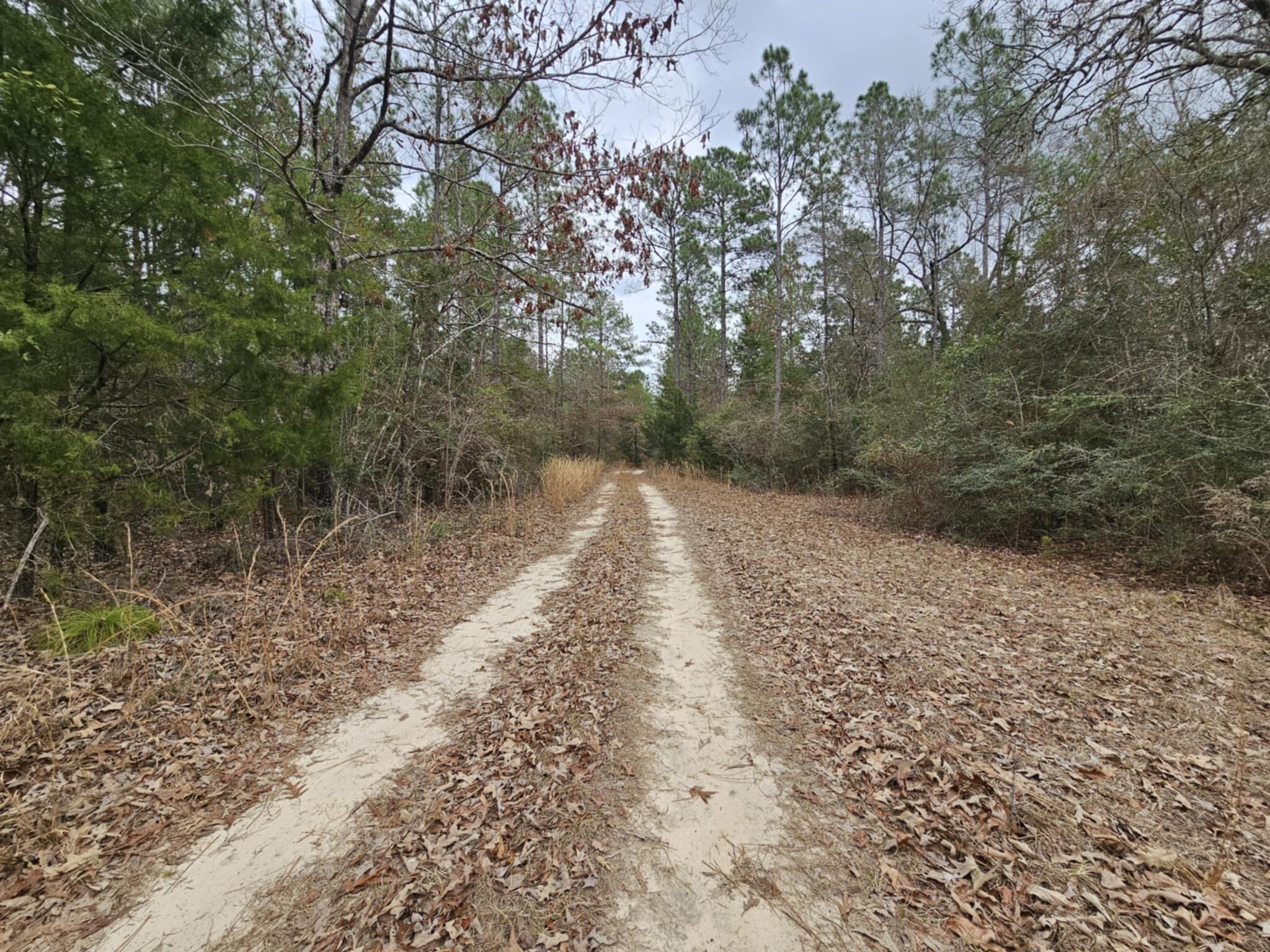 METES & BOUNDS - Land