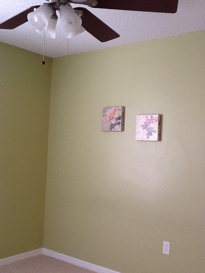 ROANOKE VILLAGE S/D - Residential