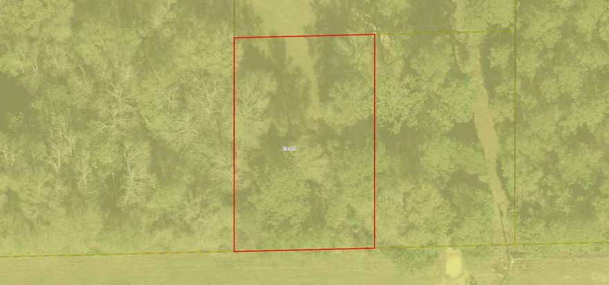 Nice 1/2 Ac Lot in Laurel Hill/ Paxton Area
MH allowed. No utilities.  Per the flood maps this parcel is flood zone X.  
Bring all offers.