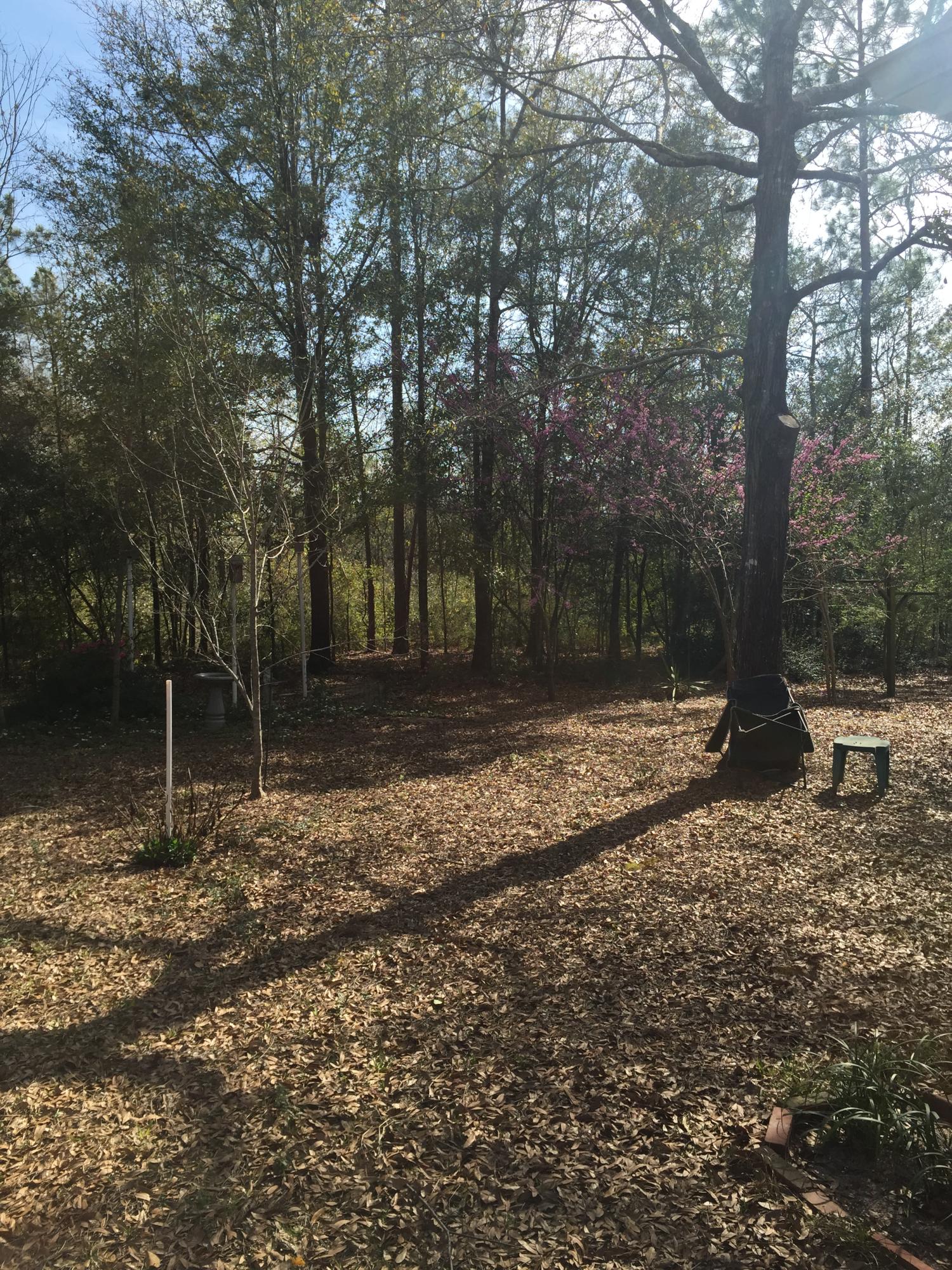 WILDWOOD GABLES - Residential