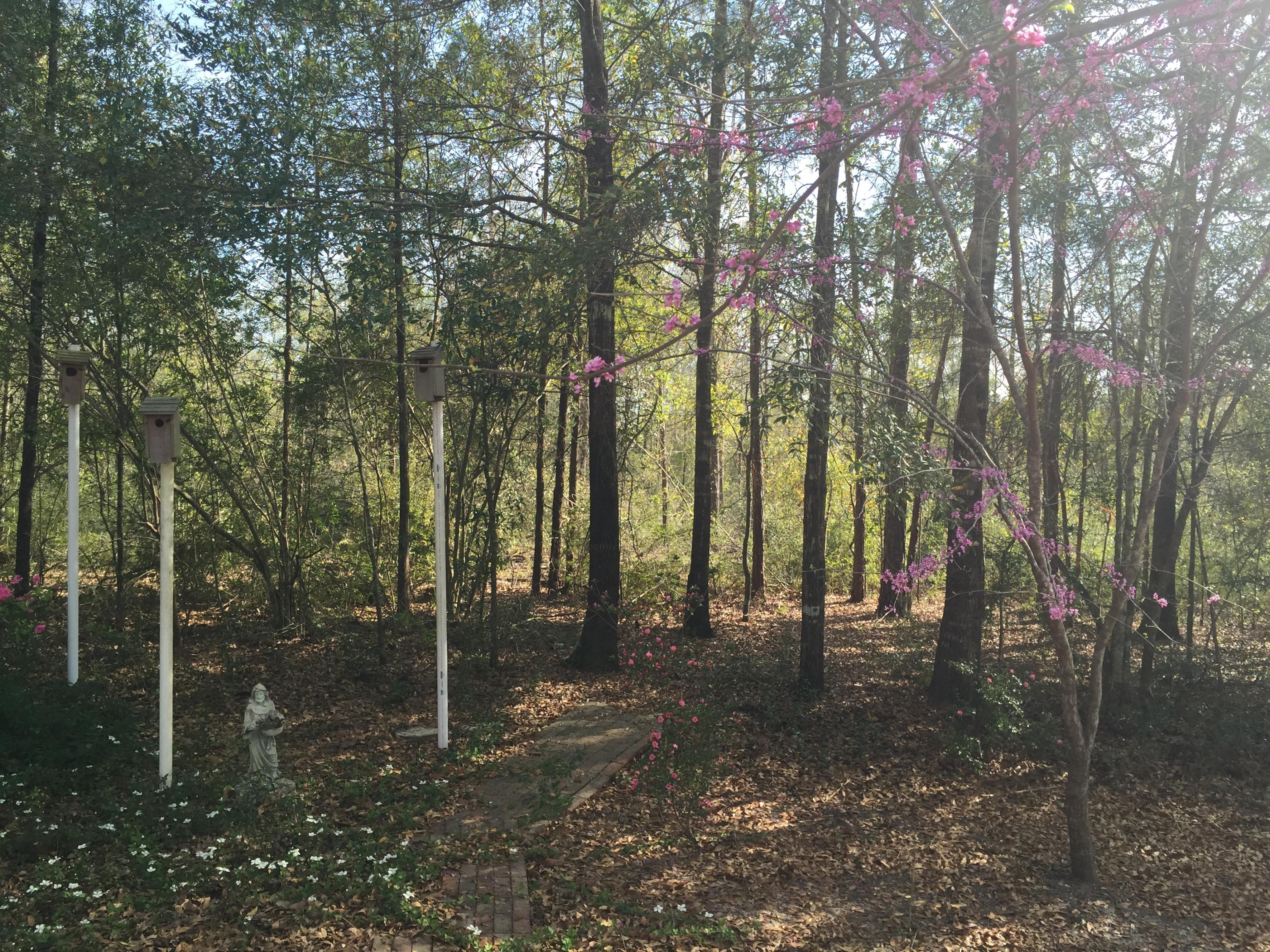 WILDWOOD GABLES - Residential