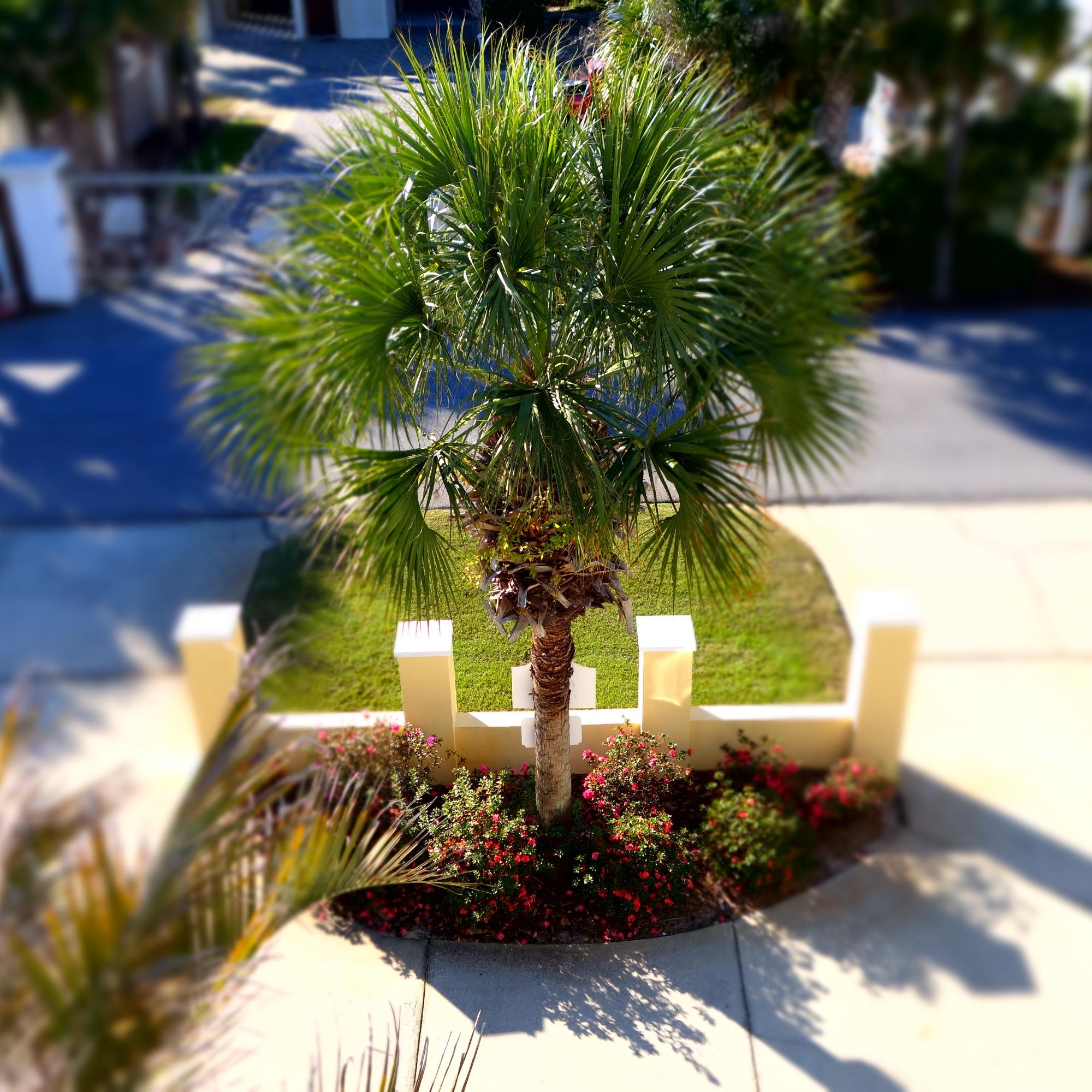 GULF VIEWS - Residential