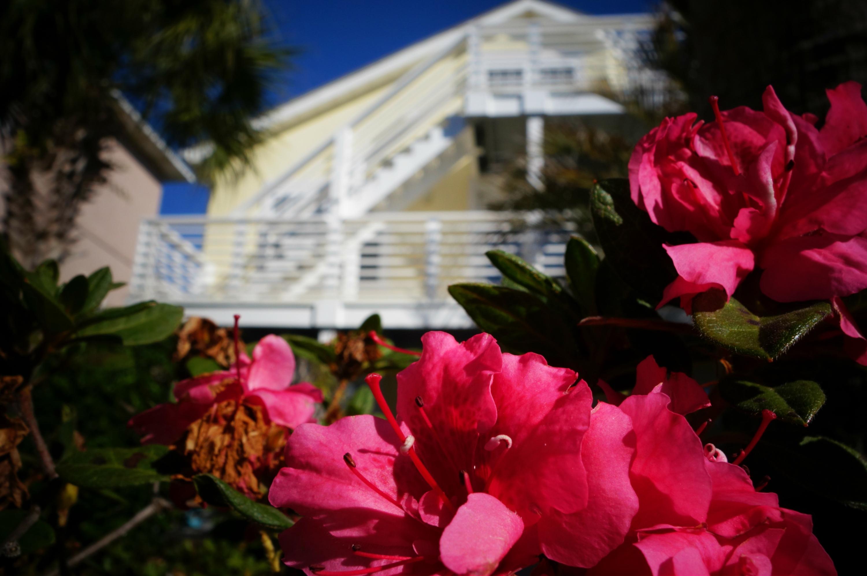 GULF VIEWS - Residential