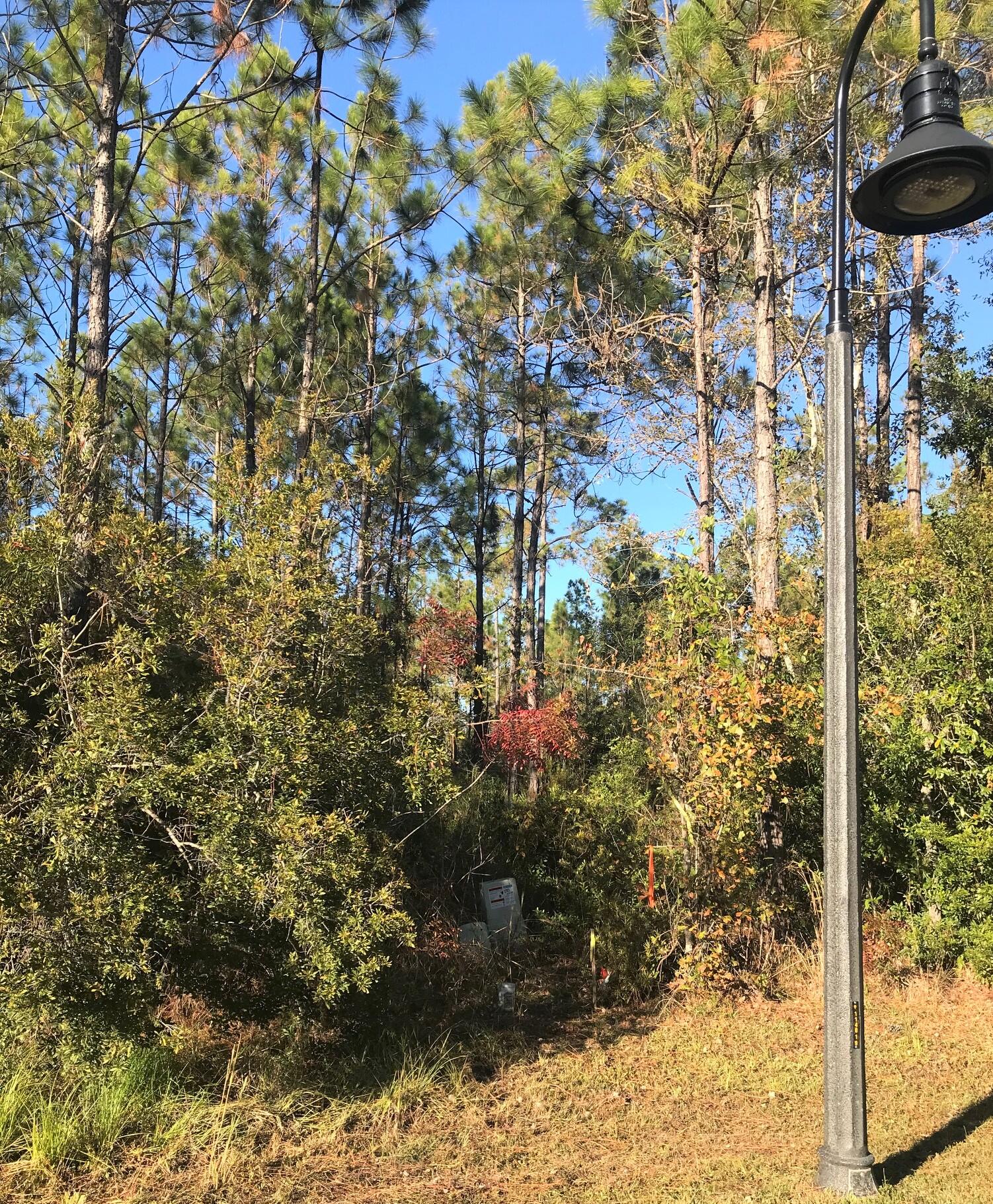 BEAR CREEK COTTAGES - Land