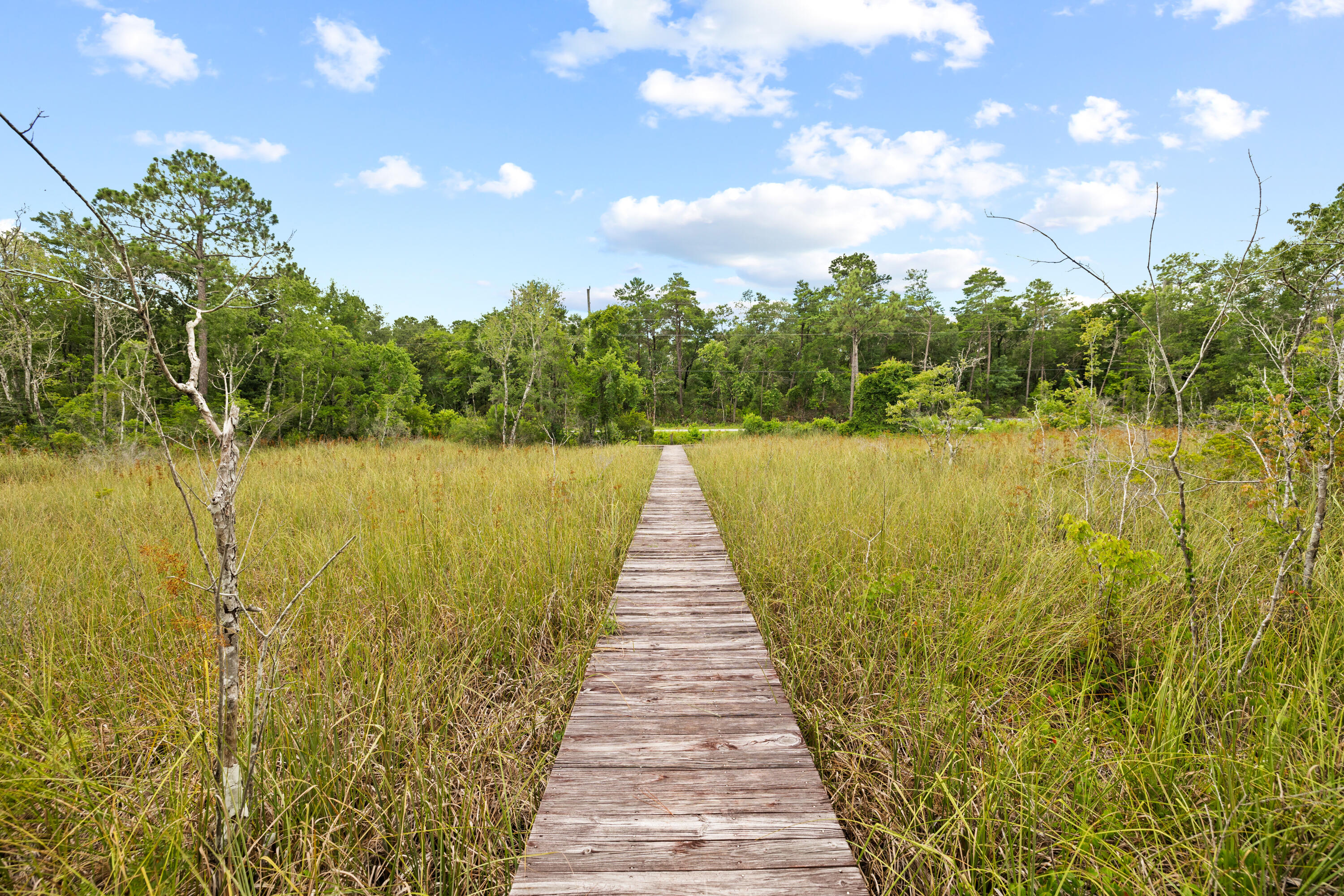 GRAYTON BAYOU - Land