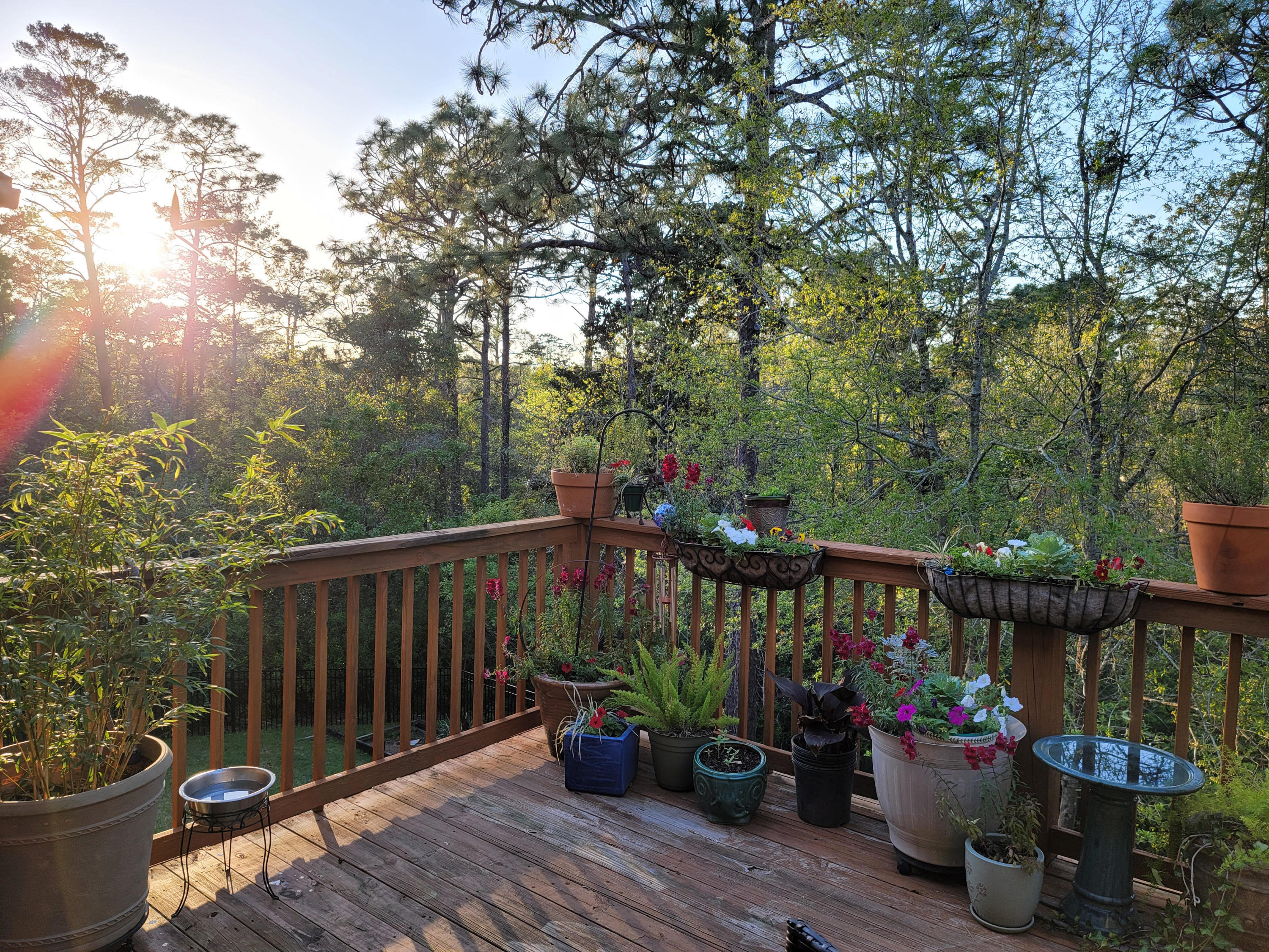 SWIFT CREEK PLANTATION - Residential
