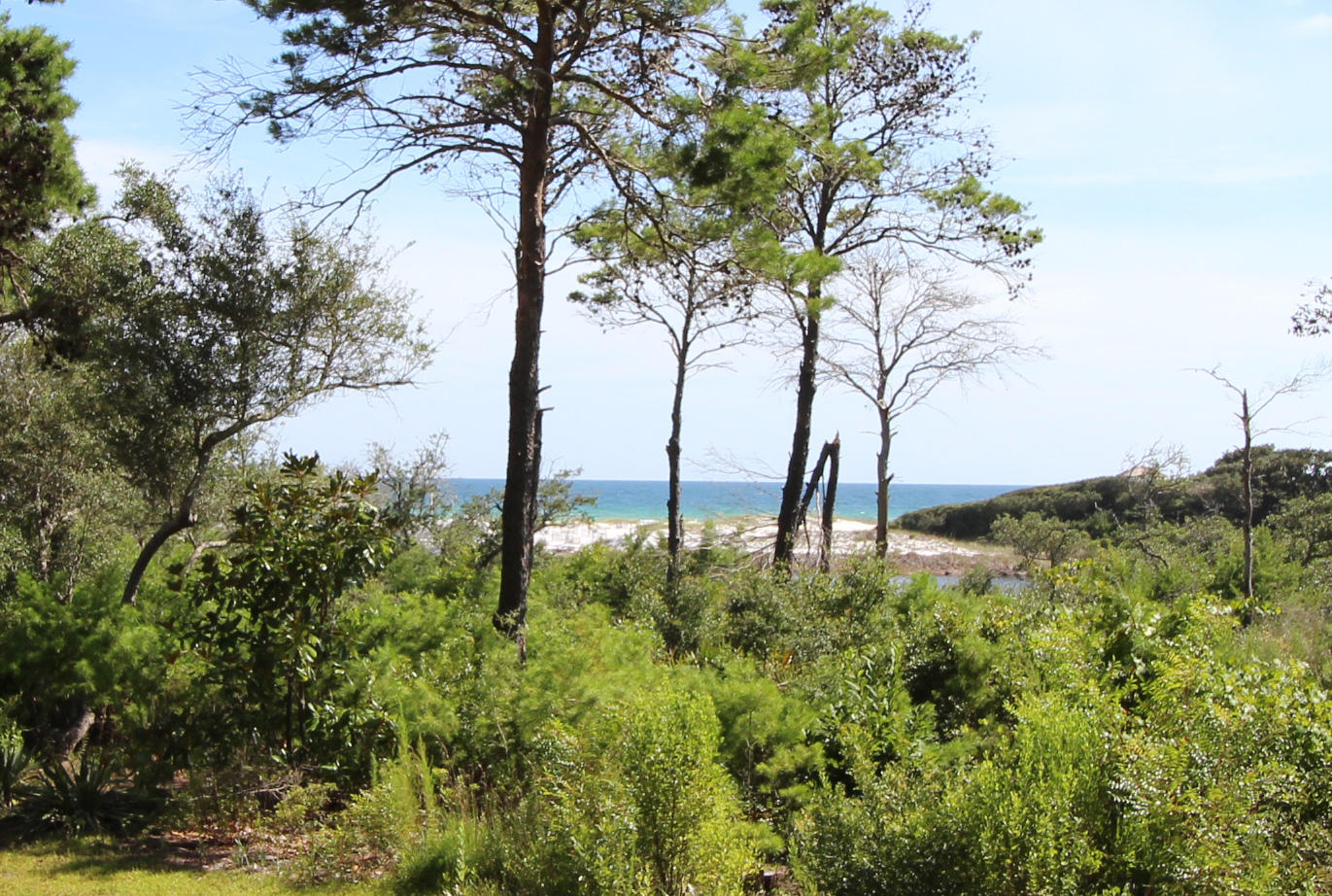 SANCTUARY BY THE SEA CONDO - Residential