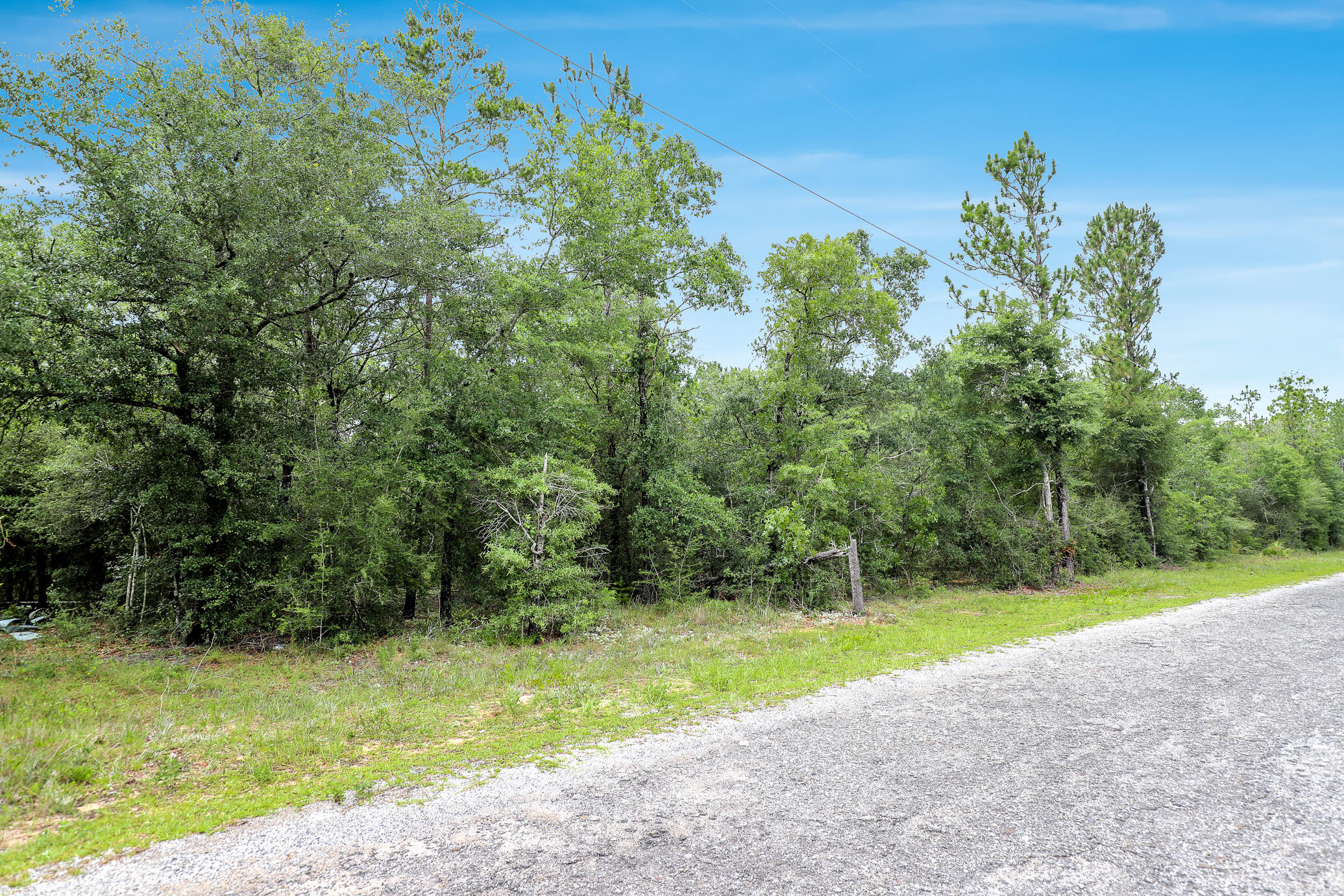GREAT LOCATION with no HOA fees! Build your getaway home or place a mobile home. Vacant wooded lot, 0.38 of an acre in size with easy access to main highways. 0.7 miles from HWY 90, and less than 7 (seven) miles from hardware and grocery stores, schools, downtown, and the beautiful historic Lake of Defuniak. Nature lovers, this property is near many great outdoor activities like fishing, golfing, national parks, and the beautiful beaches of the Emerald Coast! (Close by popular cities: Niceville, Crestview, Destin Florida, 30A / Seaside, and Panama City Beach) This high and dry lot is located in a NON-flood zone. County-maintained gravel road.
There are no utilities currently on the property.
Power: Available in the area
Water: Would be public water
Sewer: Would require a septic system
Claim your piece of Florida land