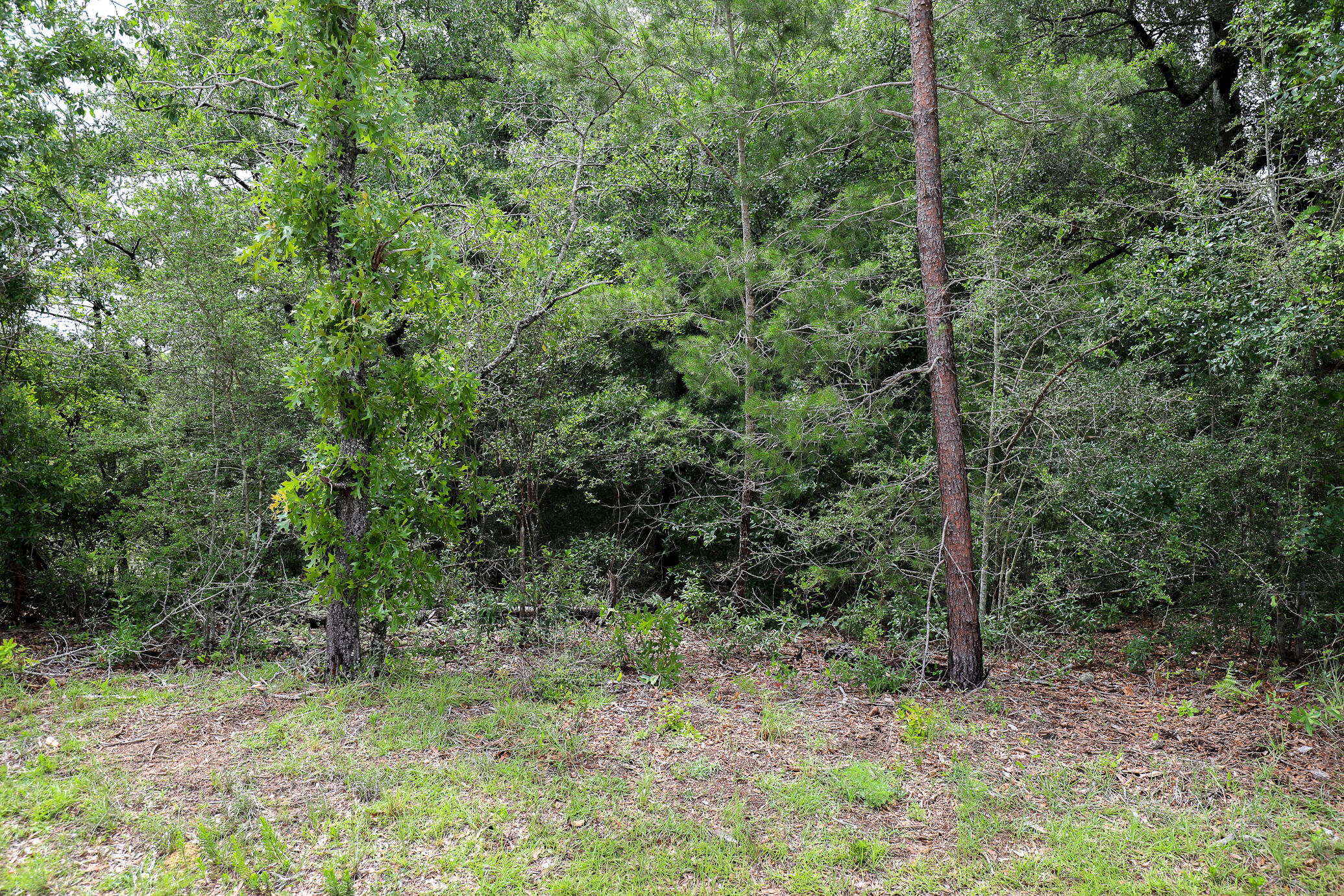 OAKWOOD LAKES ESTATES - Land