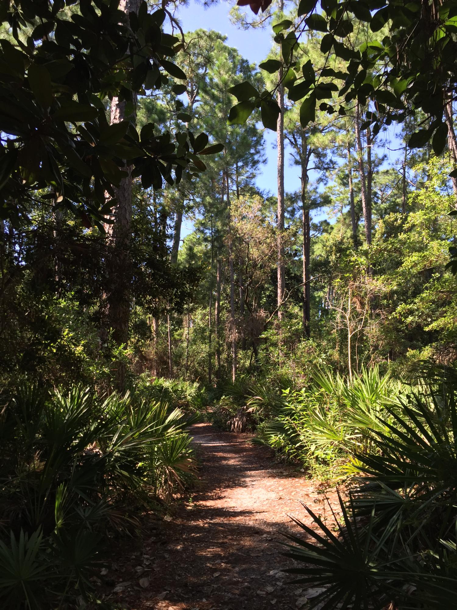 OAK TREE PARK - Residential