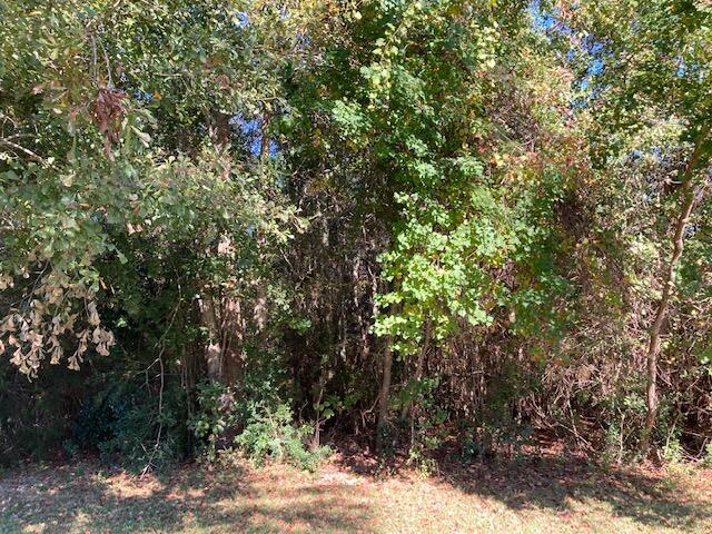 TEN LAKE ESTATES UNIT 2 - Land