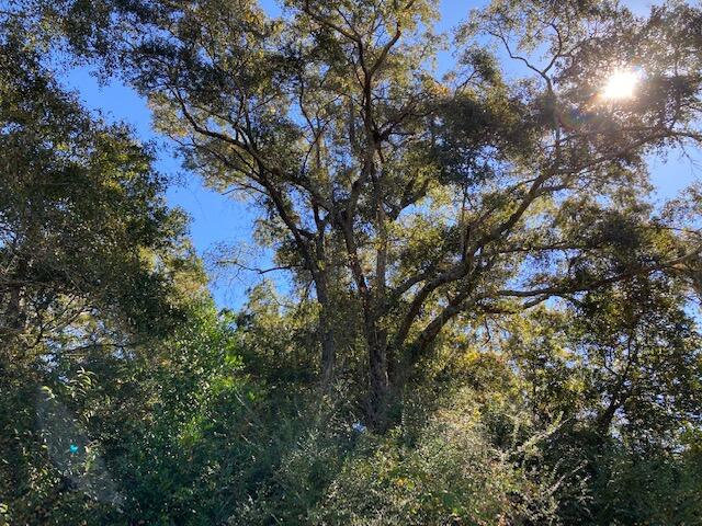 TEN LAKE ESTATES UNIT 2 - Land