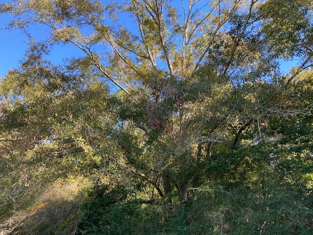 TEN LAKE ESTATES UNIT 2 - Land