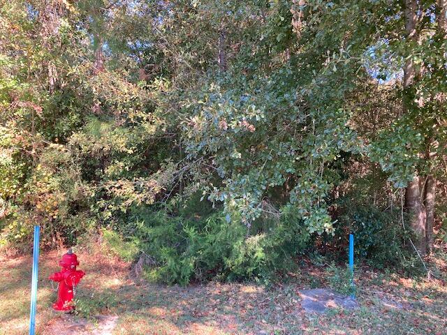 TEN LAKE ESTATES UNIT 2 - Land