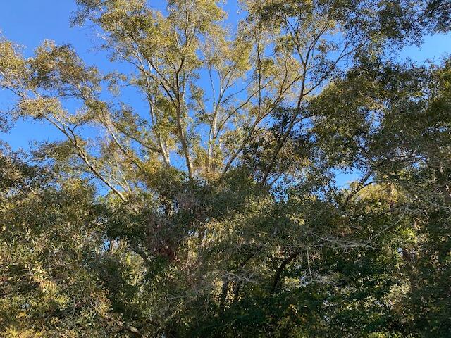 TEN LAKE ESTATES UNIT 2 - Land