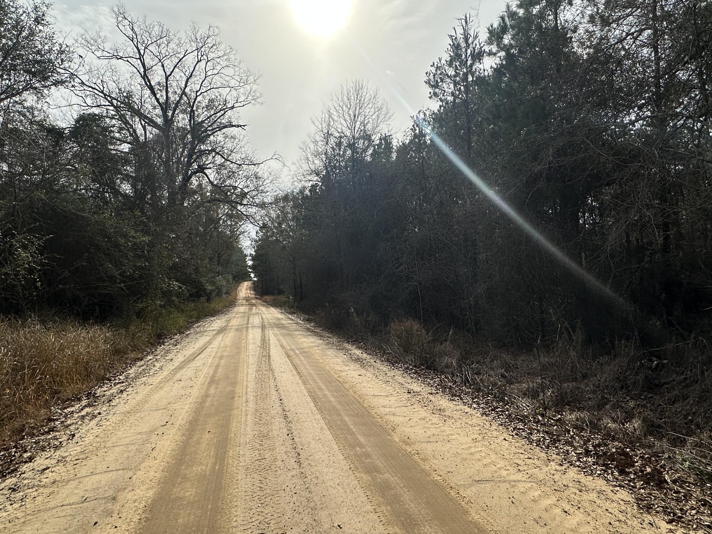 METES & BOUNDS - Land