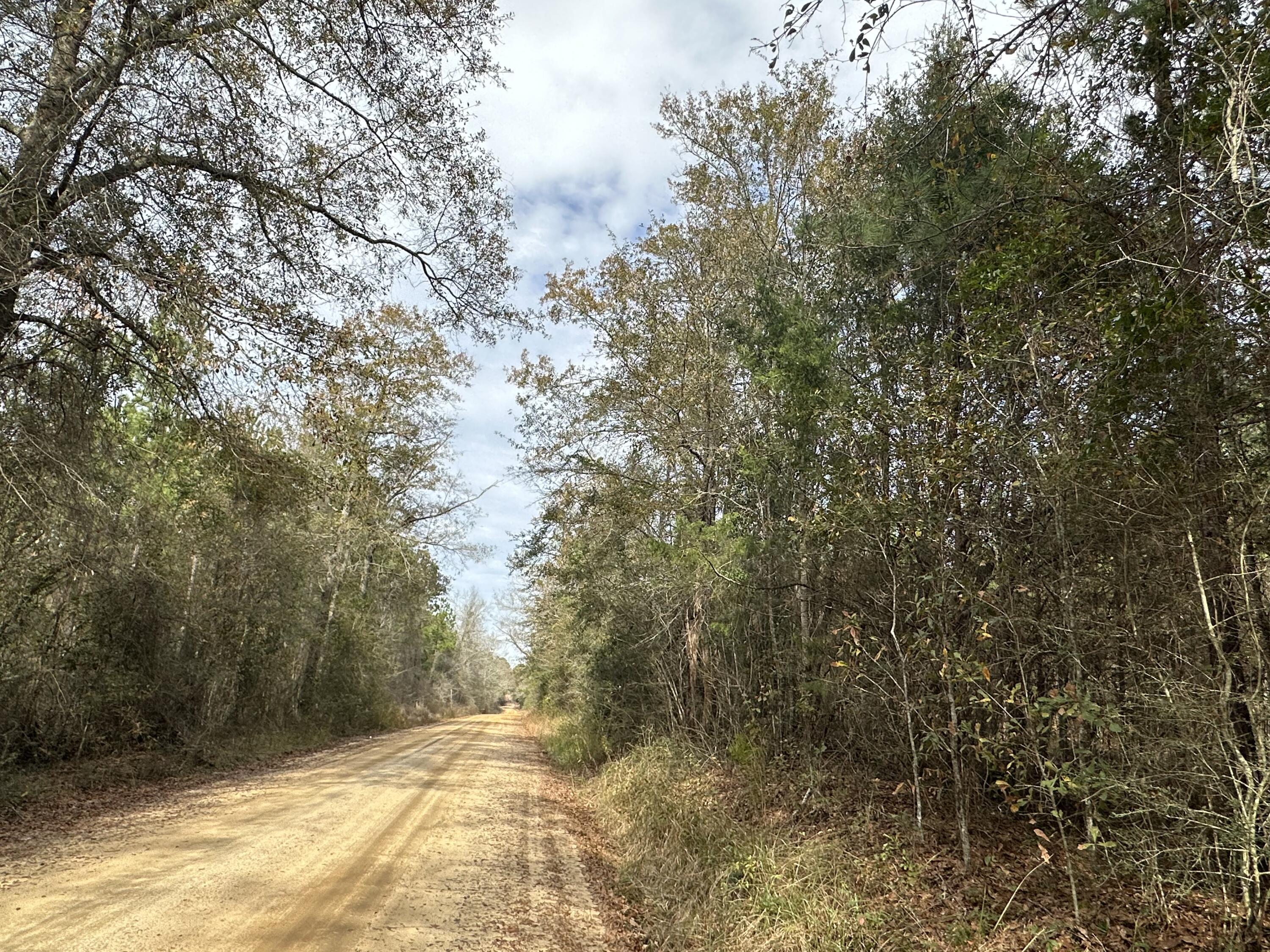 Dream Location for Hunters Paradise you won't want to miss this opportunity! This Beautiful 39.48 +/- Acres of prime land has so much to offer. Whitewater Branch flows beautifully through. Bring your hunting gear, Horses, and ATVS LOCATION LOCATION!!!! This Property has Easy Access to Hwy 179, Hwy 177, Hwy 2 and County rd 65. Take Love Rd to the Florida/ Alabama State line or head to Panama City Beaches I-10, Hwy 79, Hwy 81, and Hwy 90.Additional land available