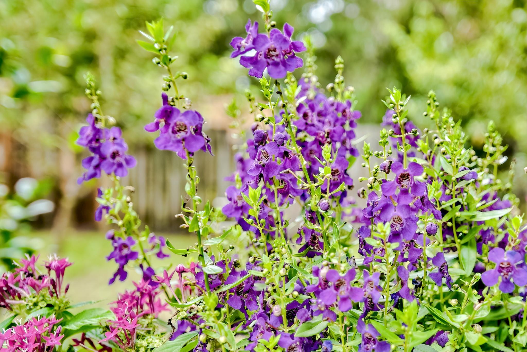 EAGLES LANDING S/D - Residential