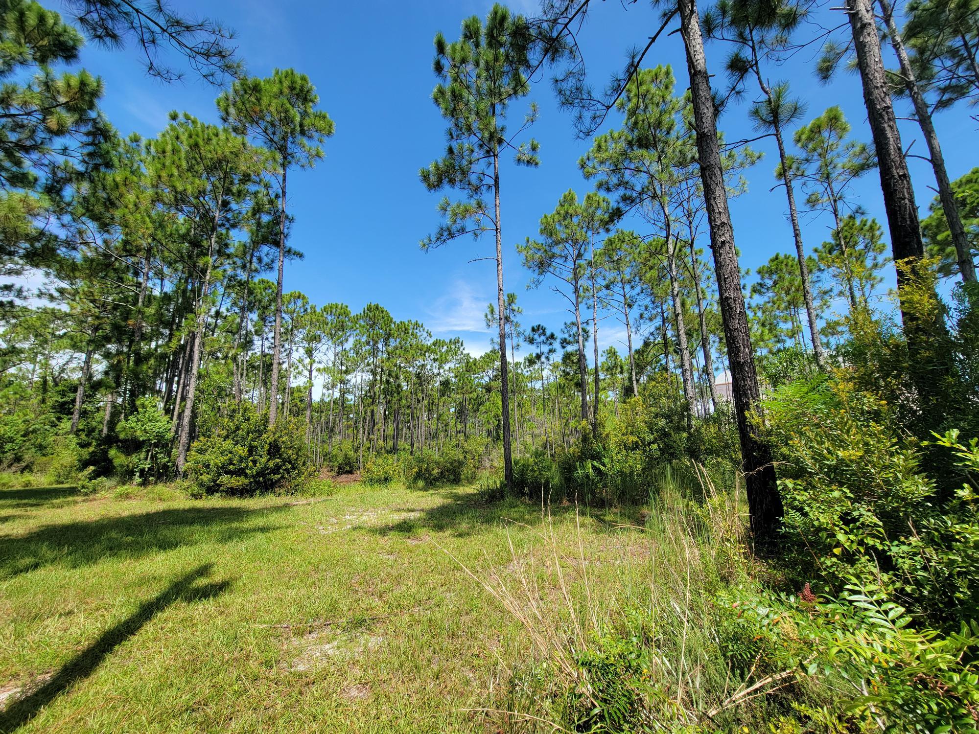 Discover a rare opportunity to own a spacious .4625-acre lot in the heart of South Walton's thriving coastal community! Located at Lot 8, Delbert Lane Nestled at the end of a cul-de-sac, offering a serene setting with one neighboring property to the east. Bordering a scenic community area & pond to the west, this lot is perfect for your dream home. Situated south of Highway 98, a highly sought-after area, this lot is one of the few remaining undeveloped parcels of its size in Santa Rosa Beach. With no build-out time restrictions, you have the flexibility to design and construct at your own pace. Walton County property records confirm the lot's generous dimensions and prime location, making it an exceptional find in a rapidly growing region.South Walton's economy is flourishing, driven by tourism and recreation, with Santa Rosa Beach's iconic sugar-white beaches and emerald-green waters drawing visitors and residents alike. The average property sale price in Santa Rosa Beach is approximately $1.2 million, reflecting the area's strong demand and premium value (CountyOffice.org, 2025). This lot offers a unique chance in a vibrant, growing community known for its natural beauty and economic vitality. Don't miss this opportunity to secure a rare, generously sized lot in one of Florida's most coveted coastal destinations. Build your future in Santa Rosa Beach, where opportunity and lifestyle converge. Buyer to verify any due diligence and all information deemed important for future use.