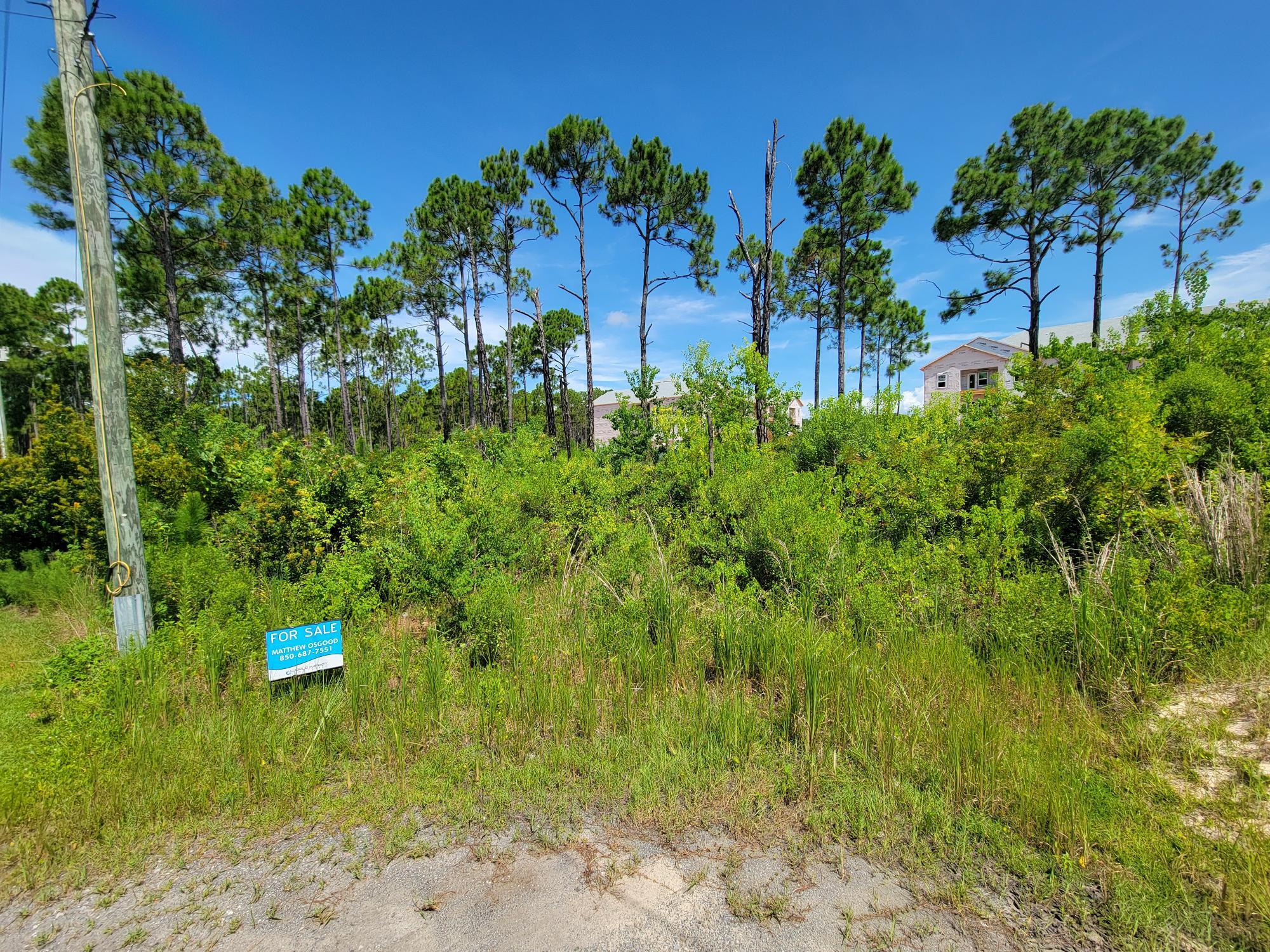 THOMPSON PLANTATION - Land