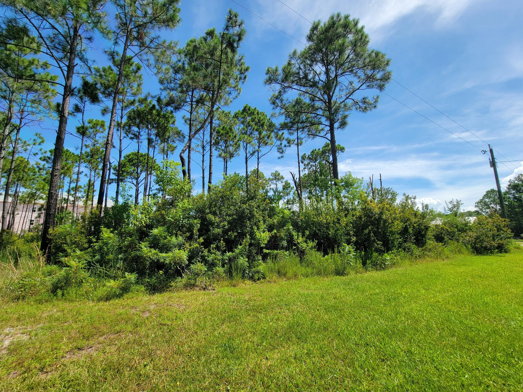 THOMPSON PLANTATION - Land