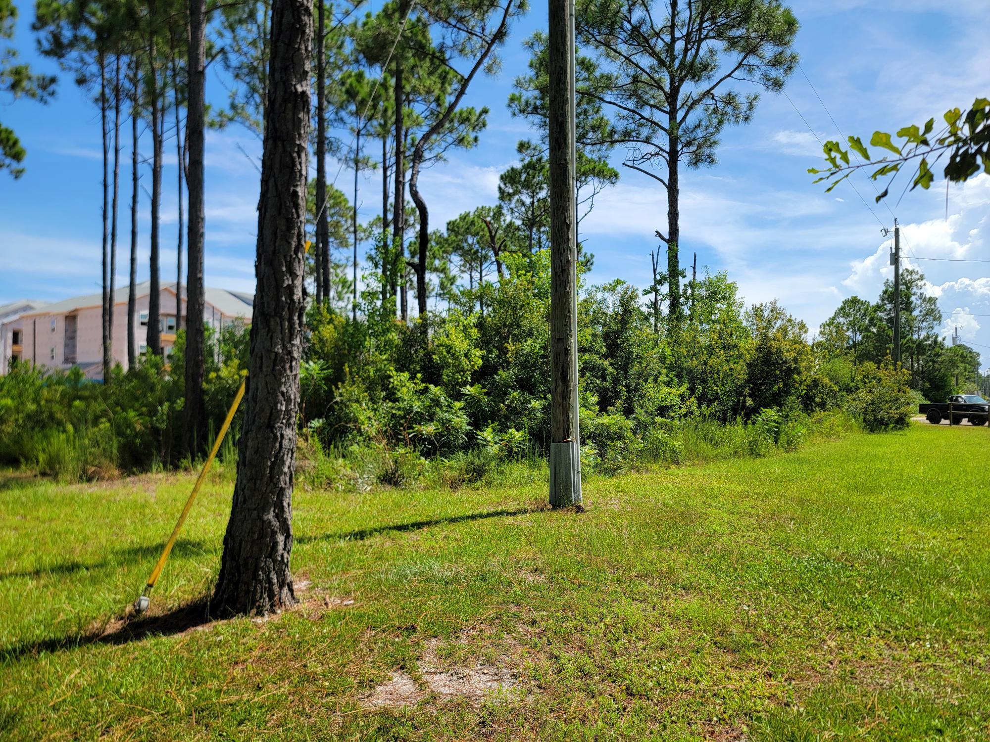 THOMPSON PLANTATION - Land