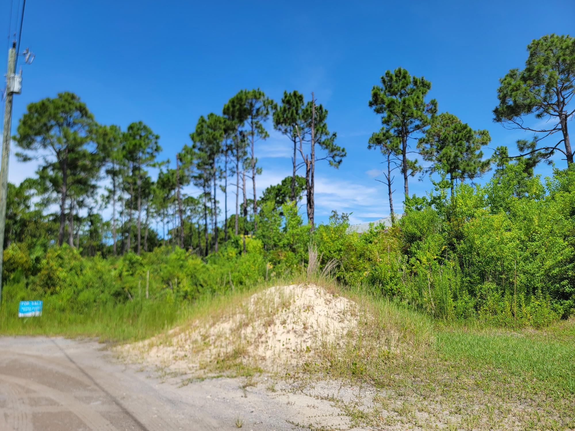 THOMPSON PLANTATION - Land