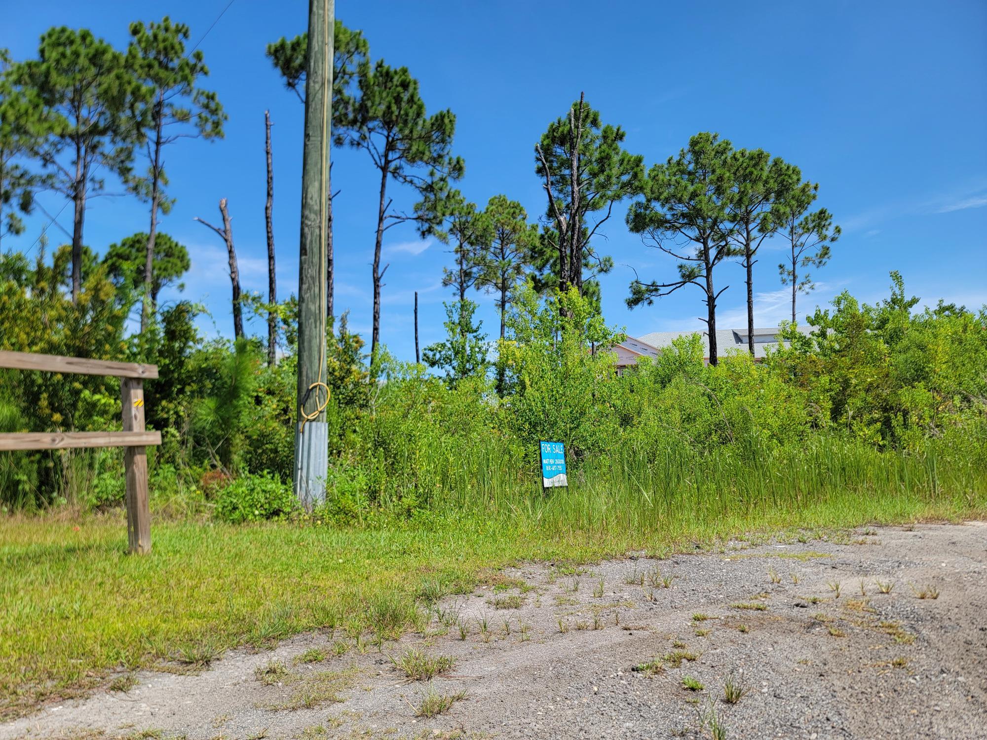 THOMPSON PLANTATION - Land