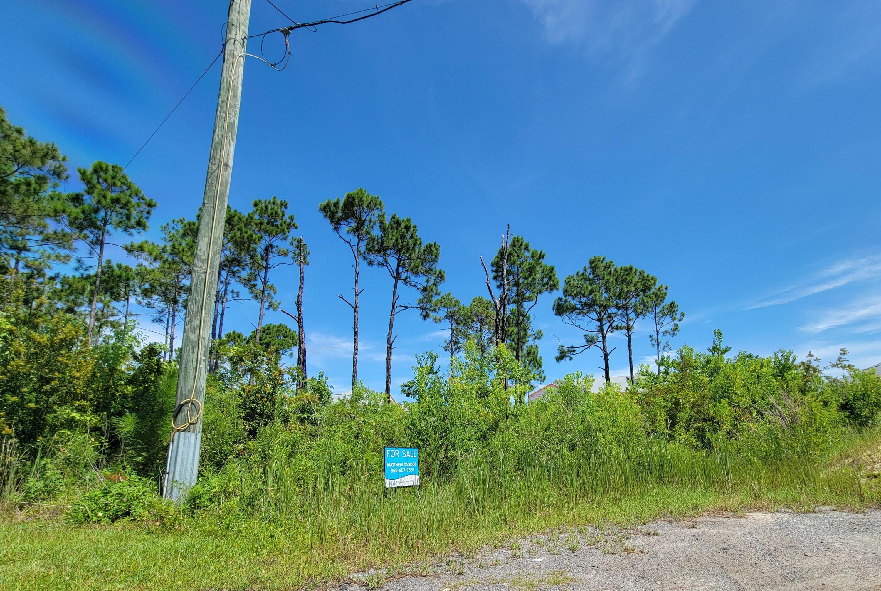 THOMPSON PLANTATION - Land