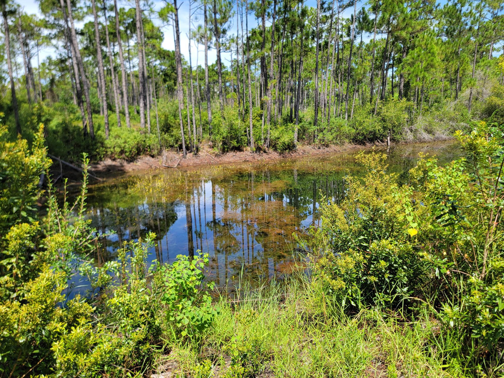 THOMPSON PLANTATION - Land