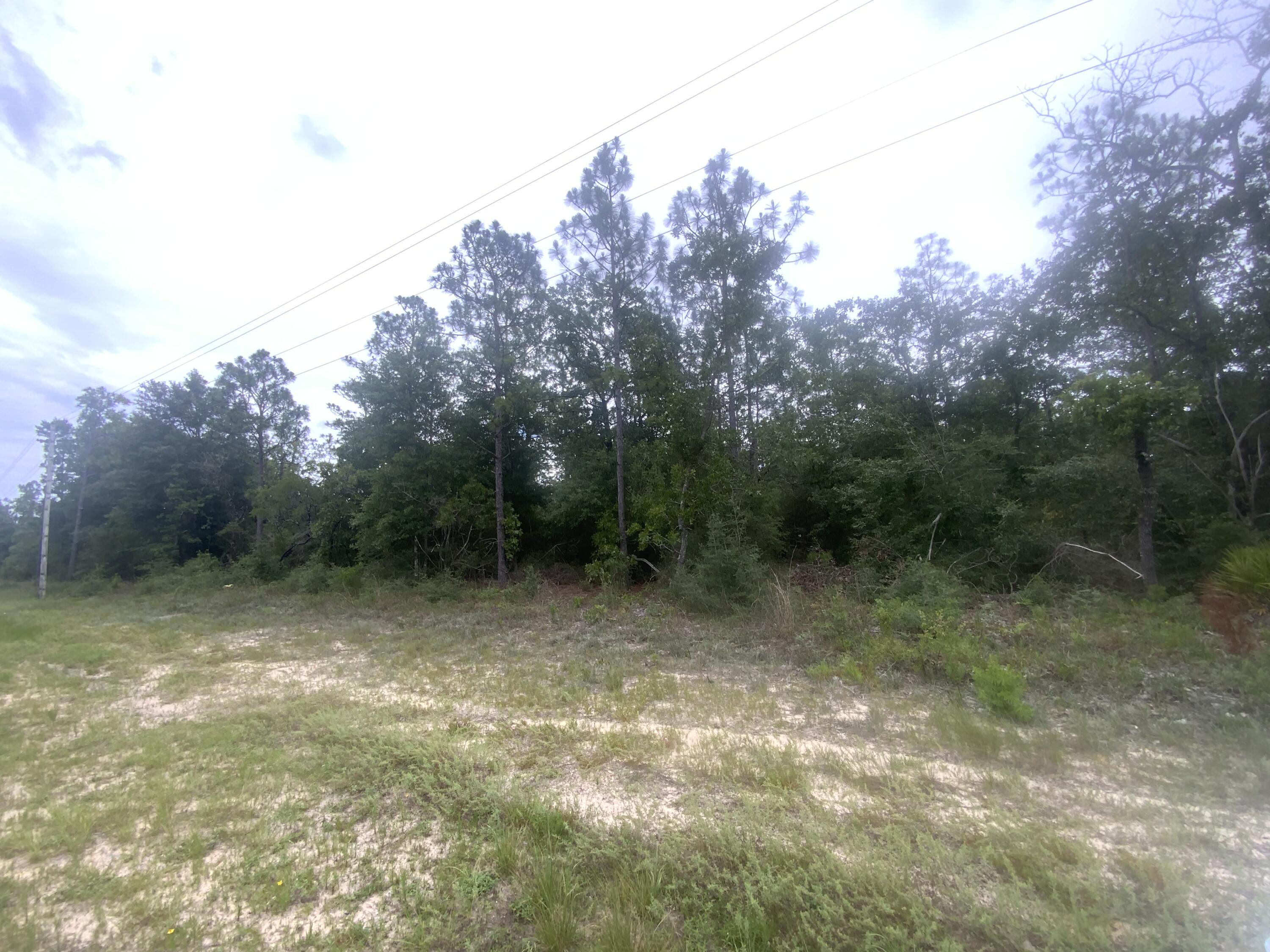 Bring your house plans! This 1+ acre level lot won't last long. Lot is located in the county and utilities are at the road. Short drive to Crestview. Conveniently located between Hwy 85 and Hwy 285.