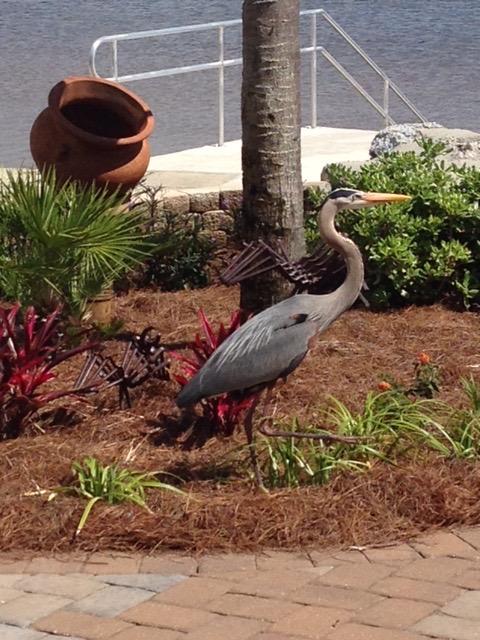 CASA MARINA S/D - Residential