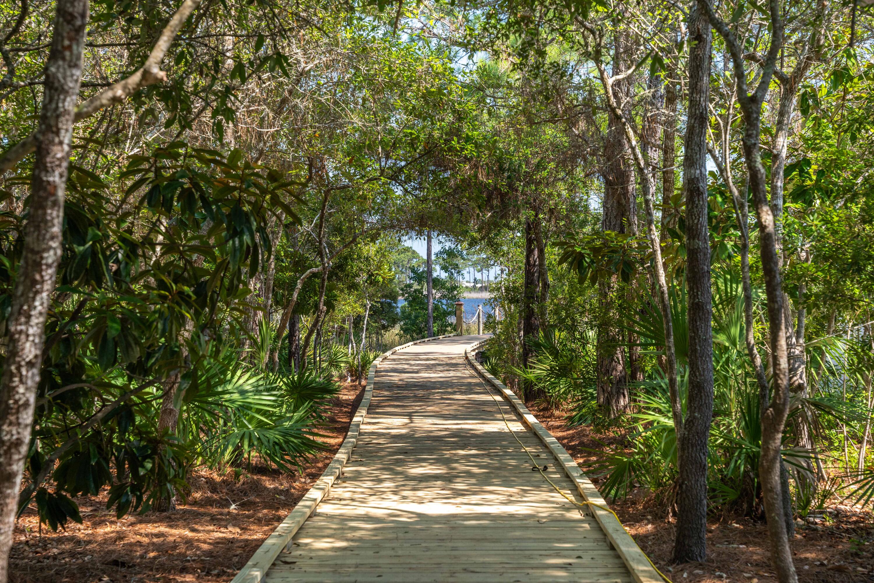 LAKE PLACE AT GRAYTON BEACH T/H - Residential