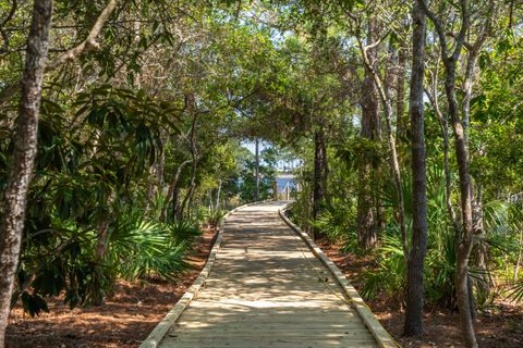 A home in Santa Rosa Beach