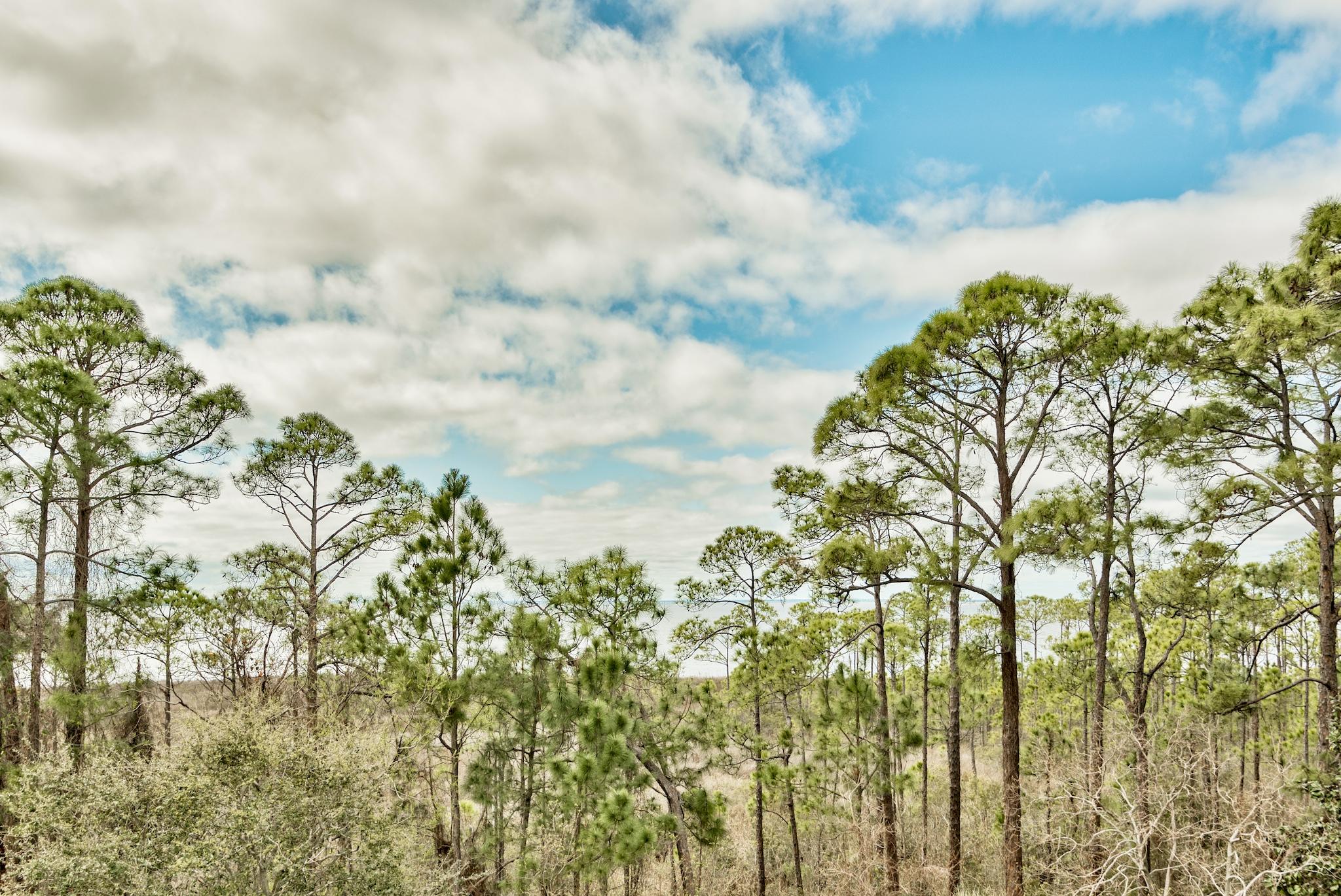 ELATION - Residential